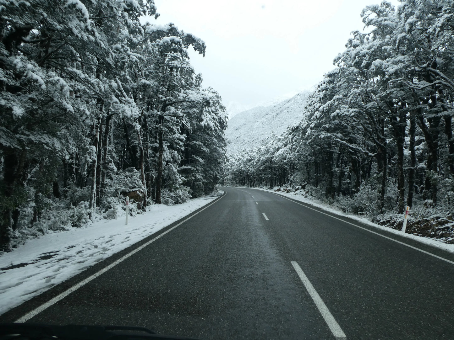 Winter driving on the Great Alpine Highway, South Island, New Zealand, with snow-covered trees.