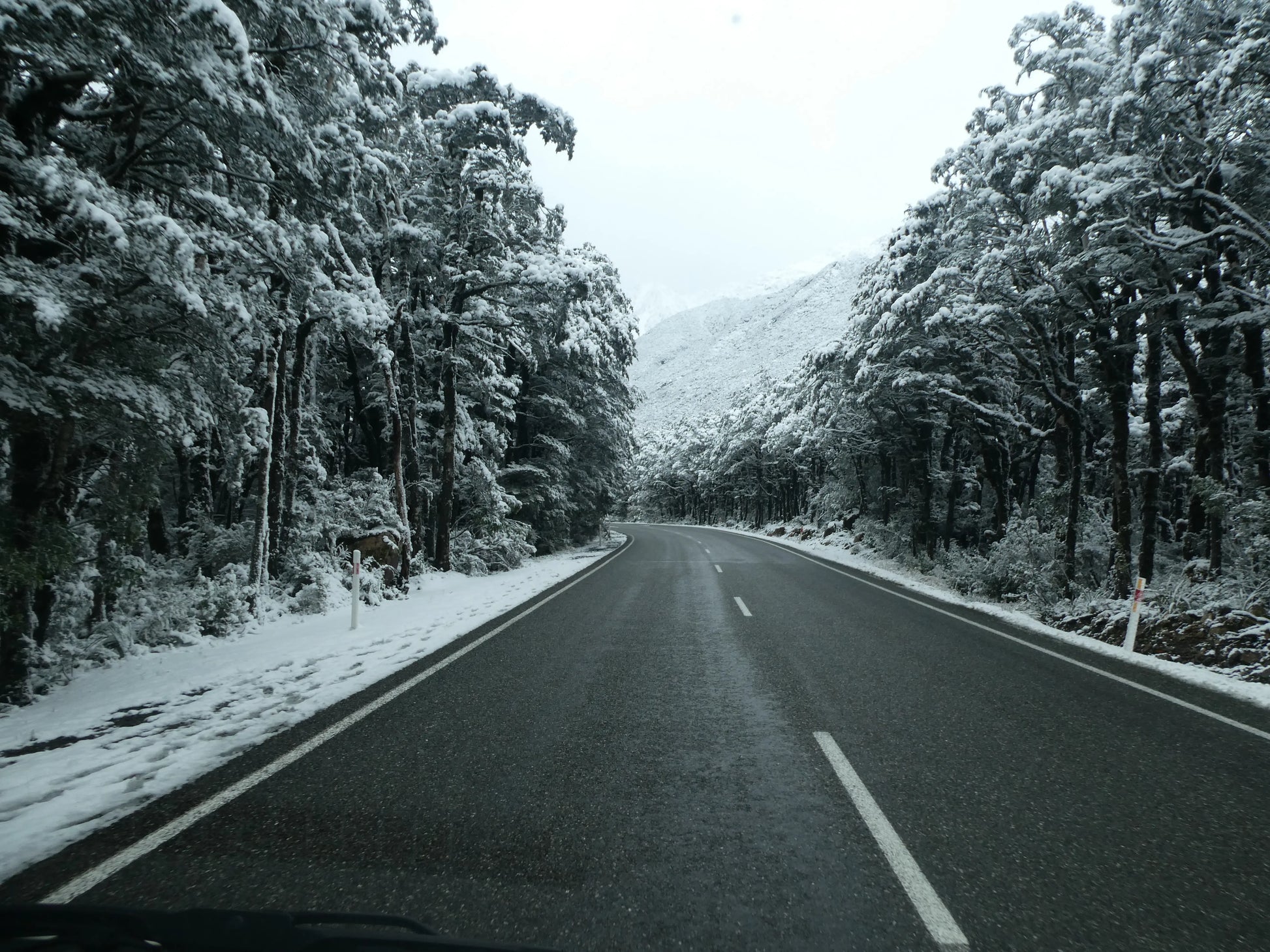 Winter driving on the Great Alpine Highway, South Island, New Zealand, with snow-covered trees.