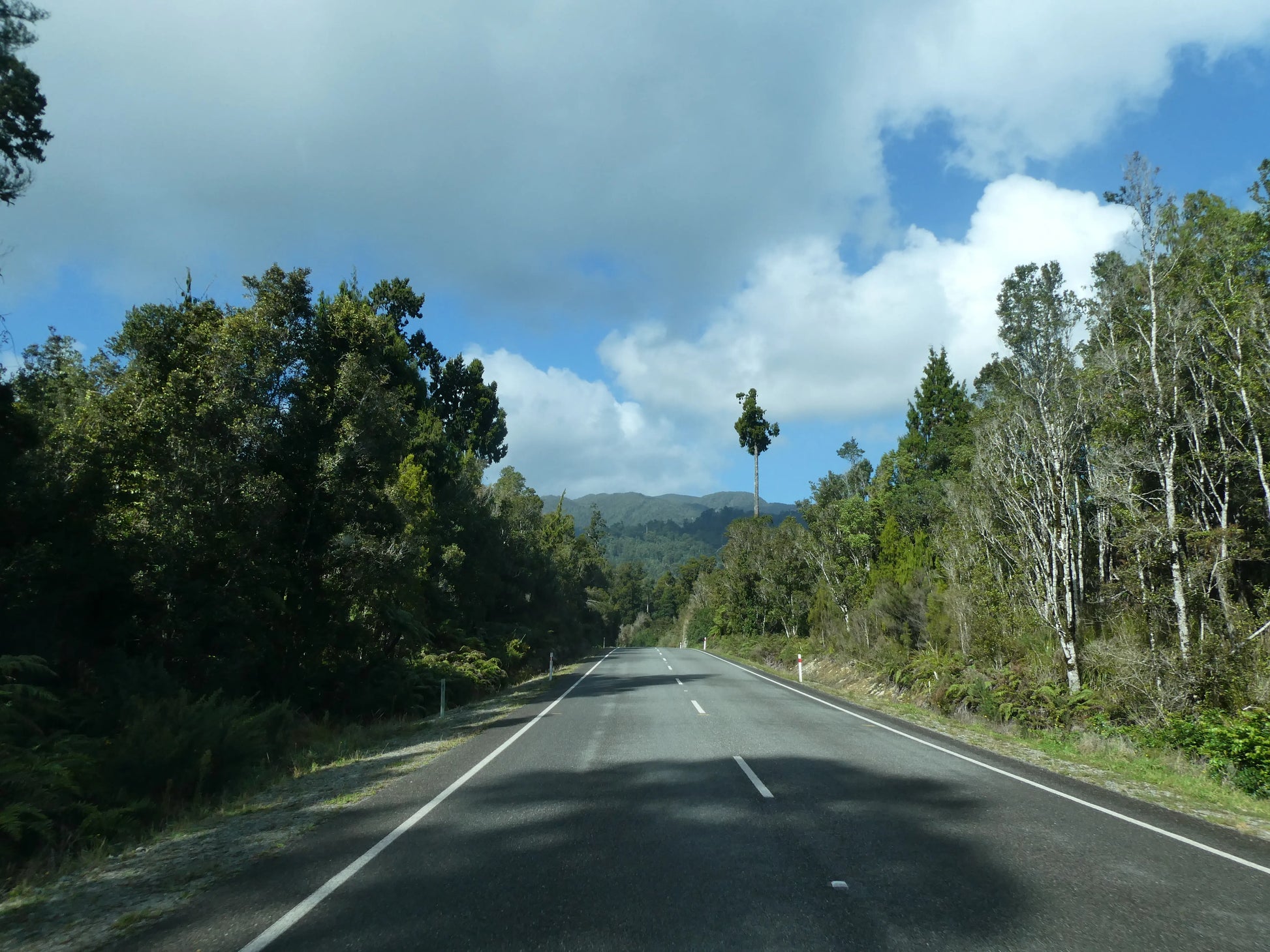 Driving on State Highway 6 through the lush West Coast rainforest toward Franz Josef, New Zealand.