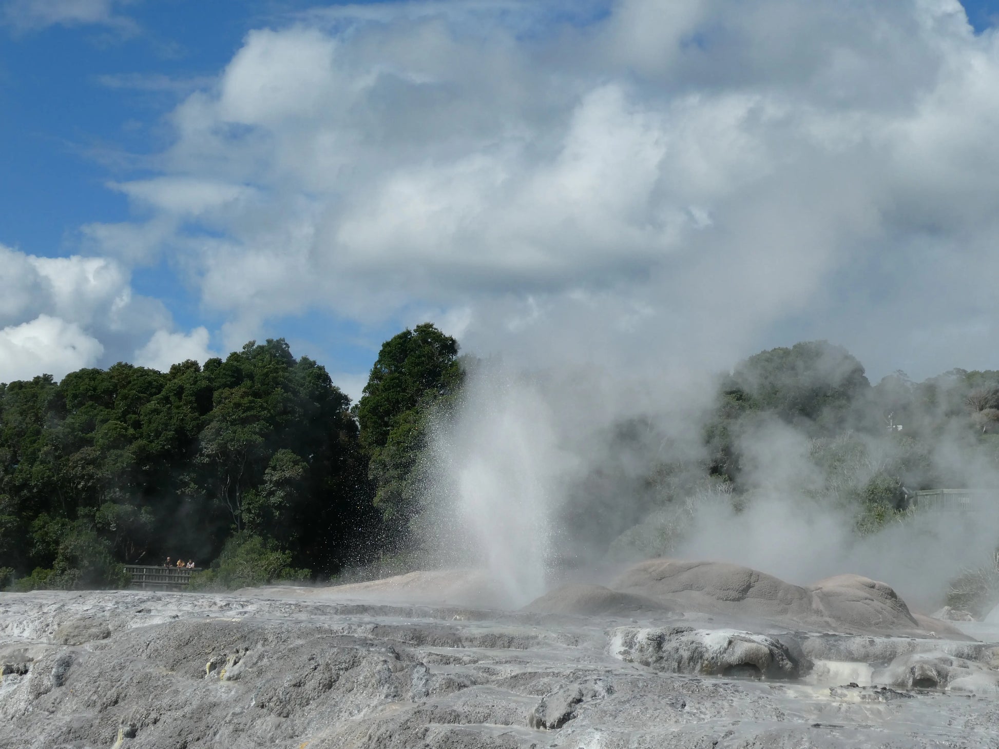 Active eruption of Pōhutu Geyser in Rotorua, New Zealand.